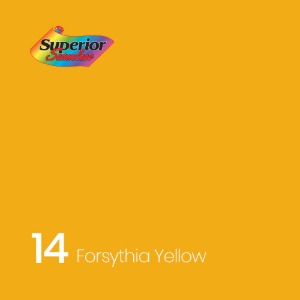 [SUPERIOR] 슈페리어 14 Forsythia Yellow